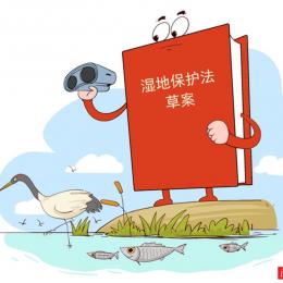 <strong>濕地保護(hù)法草案二審 中國(guó)擬加碼保護(hù)“地球之腎”</strong>